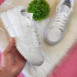 Tênis Nike Dunk